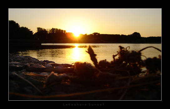 Lakeshore Sunset