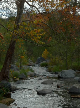 River Path