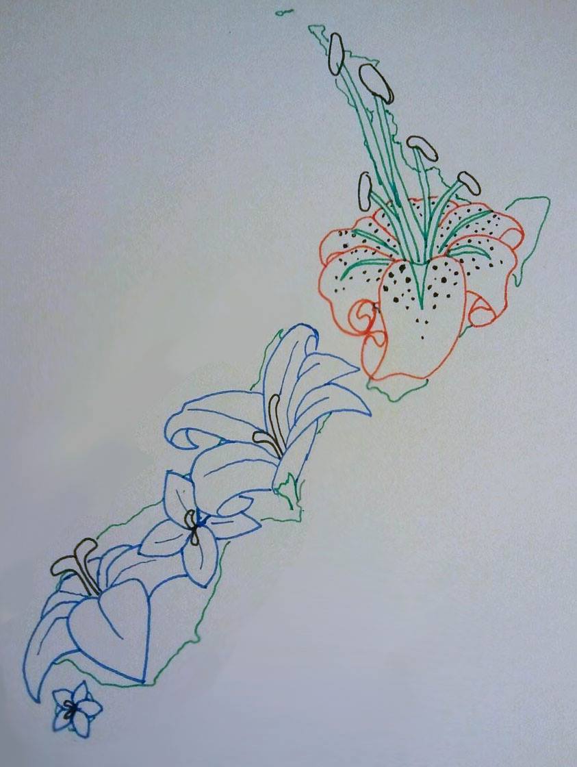 drawing nz native flowers - Google Search | NZ Tat Ideas | Fern ... drawing nz native flowers - Google Search | NZ Tat Ideas | Fern ...