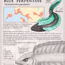 On the Northern Lands: The Blue Perpentine