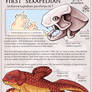 On the Northern Lands: The First Sexapedian