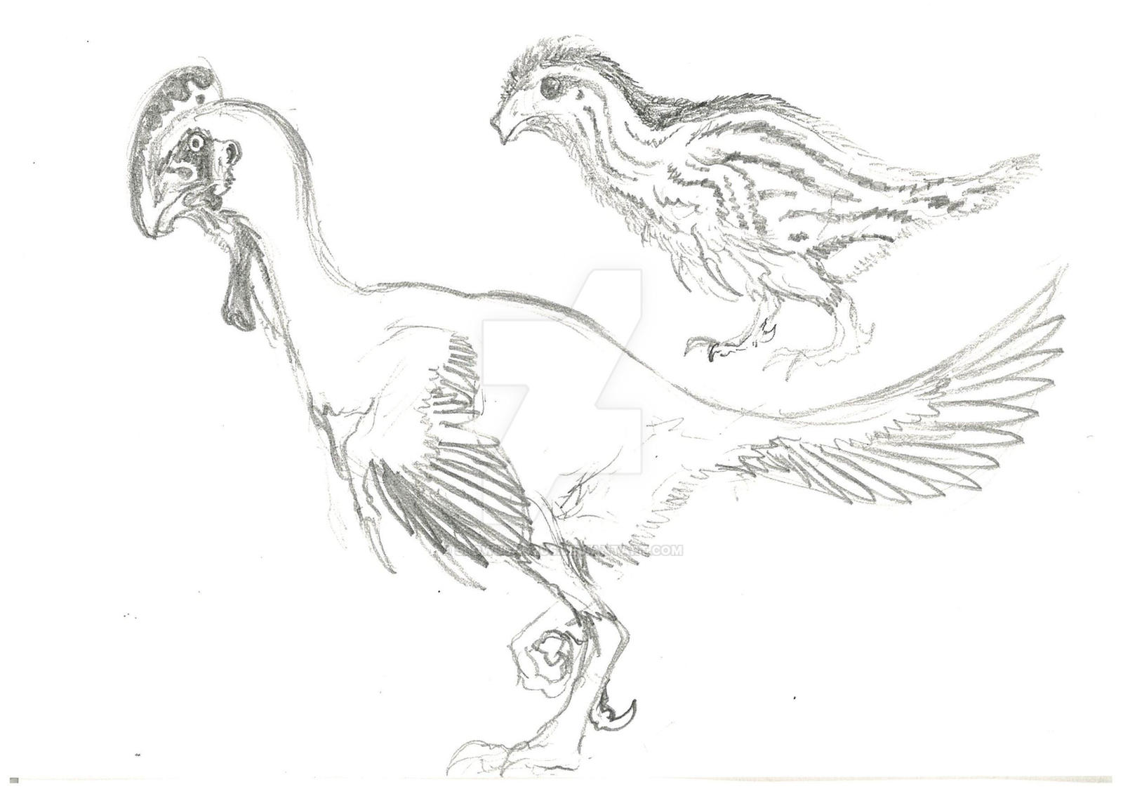 Cocoraptor WIP By Slowusaurus On DeviantArt cocoraptor-wip-by-slowusaurus-on-deviantart