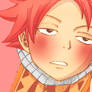 Natsu Blush