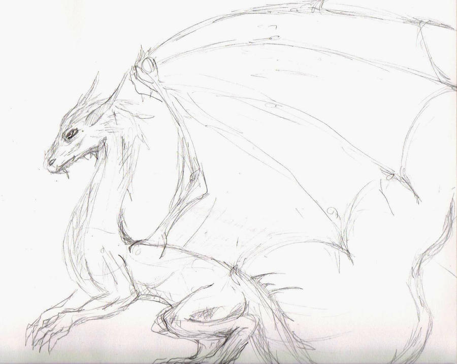 Saphira Sketch