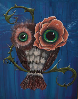 Rose eye owl