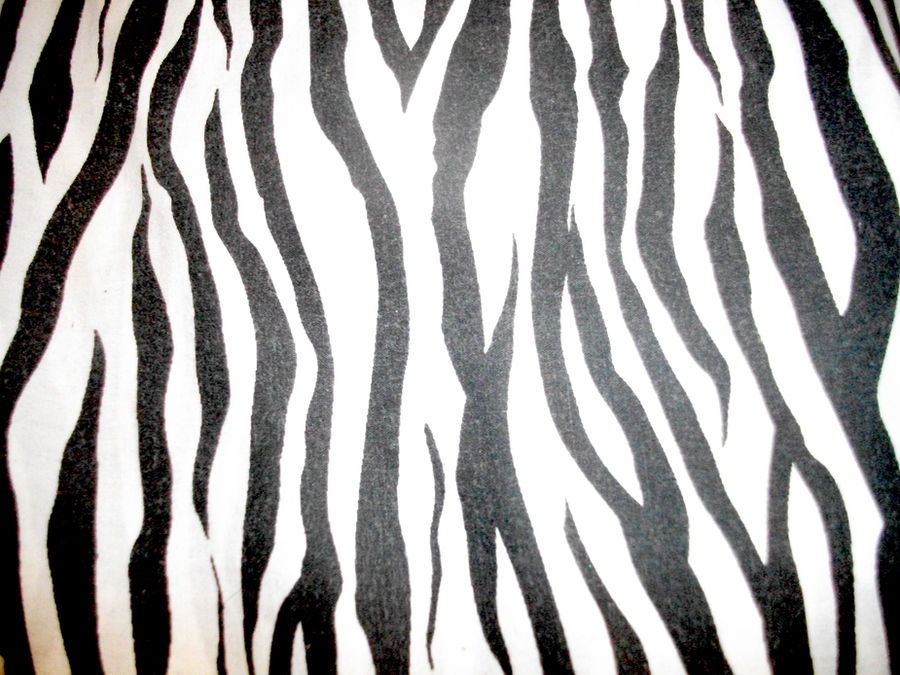 Zebra Print