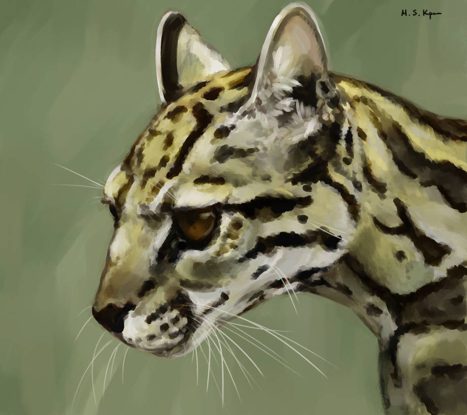 Abstract Ocelot Ocelot by MaxSKravchenko on DeviantArt