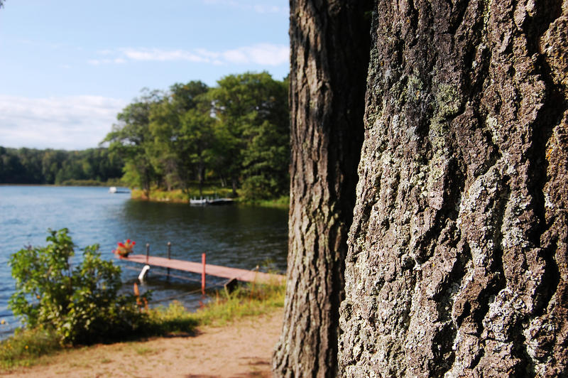 Lakeside Twin Trunks