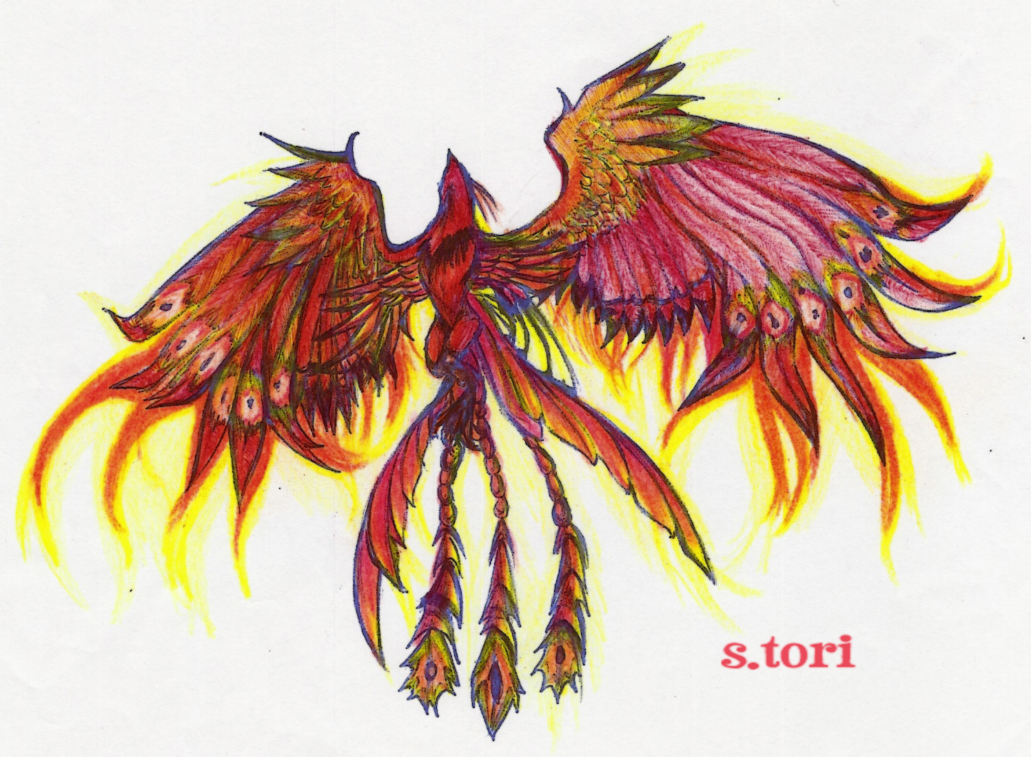 Phoenix .-+rebirth+-.