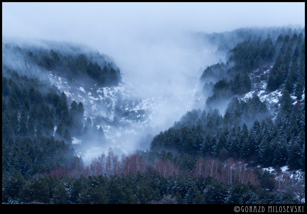 Woods of the Mountain King