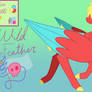 Wild Feather