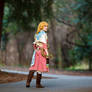 Zelda: Through the Woods
