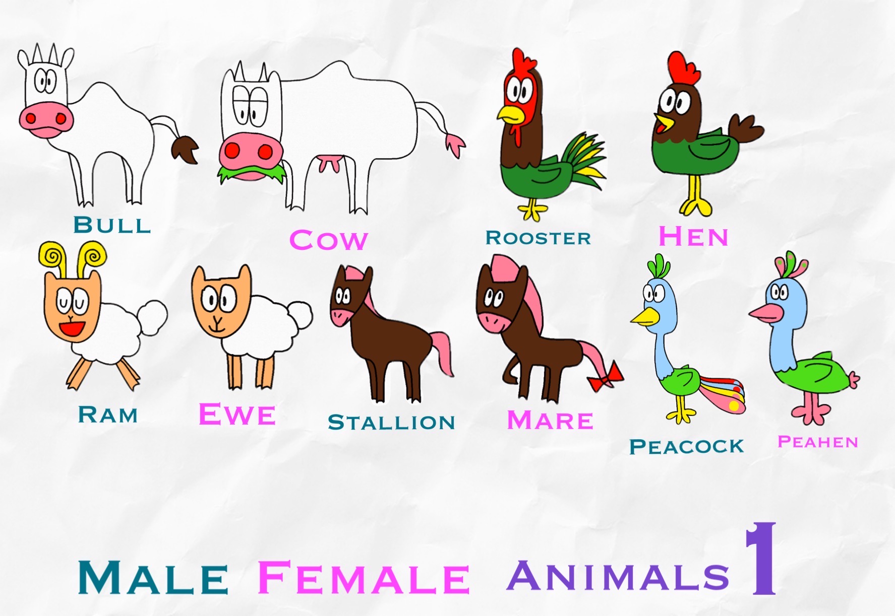 Male Female Animals 1 by lucyDrawer11 on DeviantArt Male Female Animals 1 by lucyDrawer11 on DeviantArt