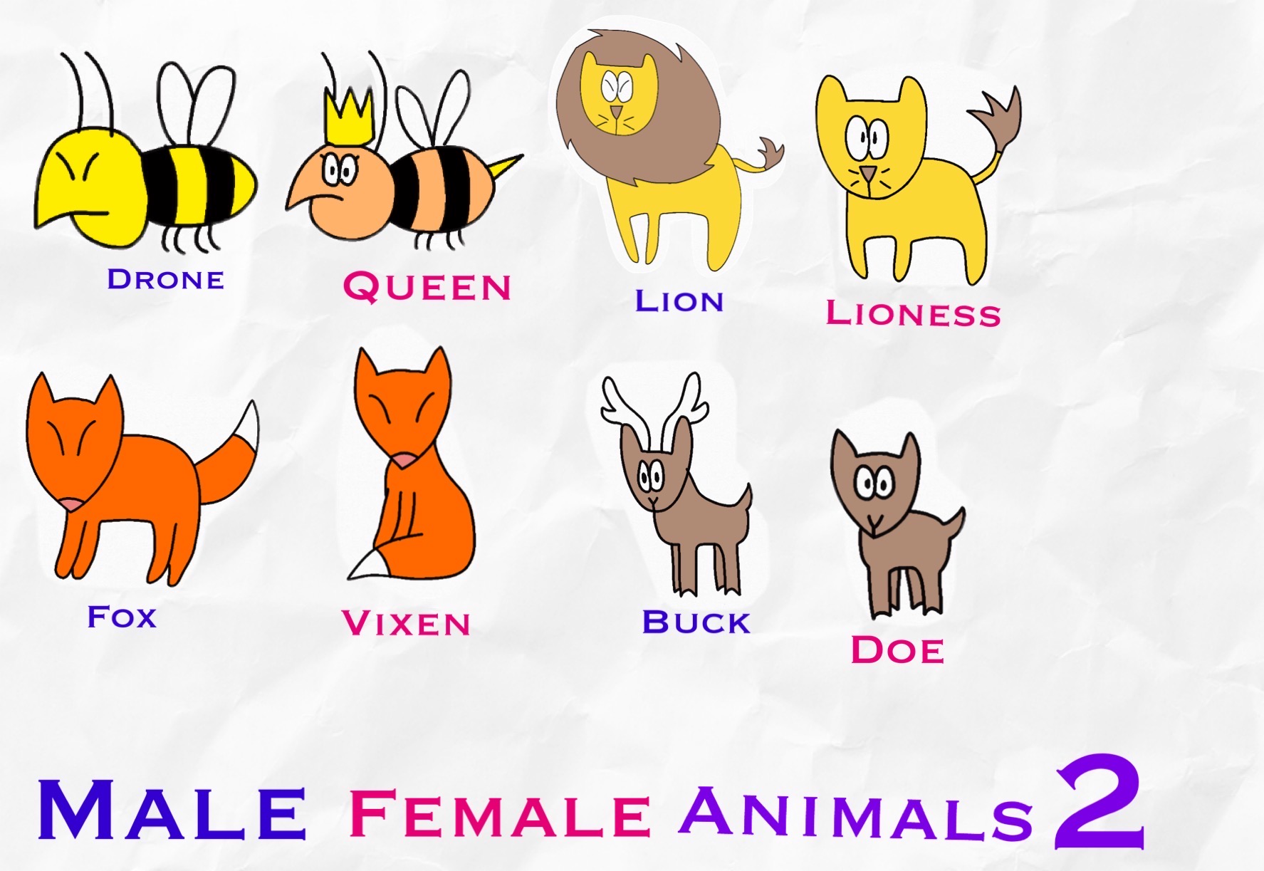 Male Female Animals 2 by lucyDrawer11 on DeviantArt Male Female Animals 2 by lucyDrawer11 on DeviantArt