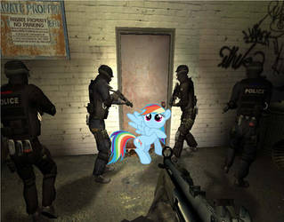 Rainbow Dash arrested