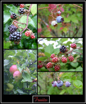 Fruits