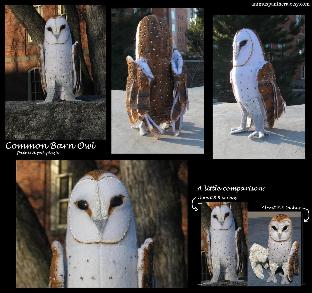 Common Barn Owl plush v. 2.0