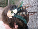 Feather fascinator- A Sunday's Walk by Animus-Panthera