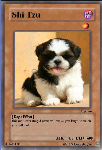 dog yugioh cards YU-GI-OH! - Chain (BP03-EN080) - Battle Pack 3: Monster League - 1st Edition Effect Monster Yugioh card made in honor