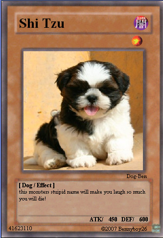 Shi tzu - dog yugioh card by Bennyboy26 on DeviantArt Shi tzu - dog yugioh card by Bennyboy26 on DeviantArt