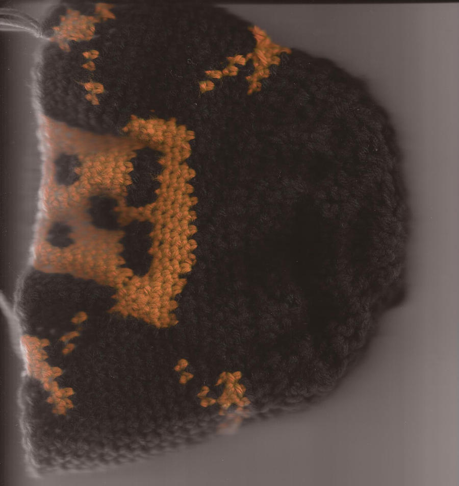 Crochet Skull Hat