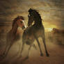 Wild West