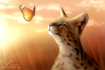 Serval by LiussSteen
