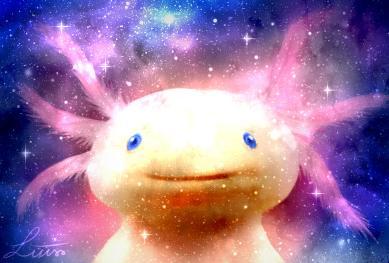 Space Axolotl by LiussSteen on DeviantArt