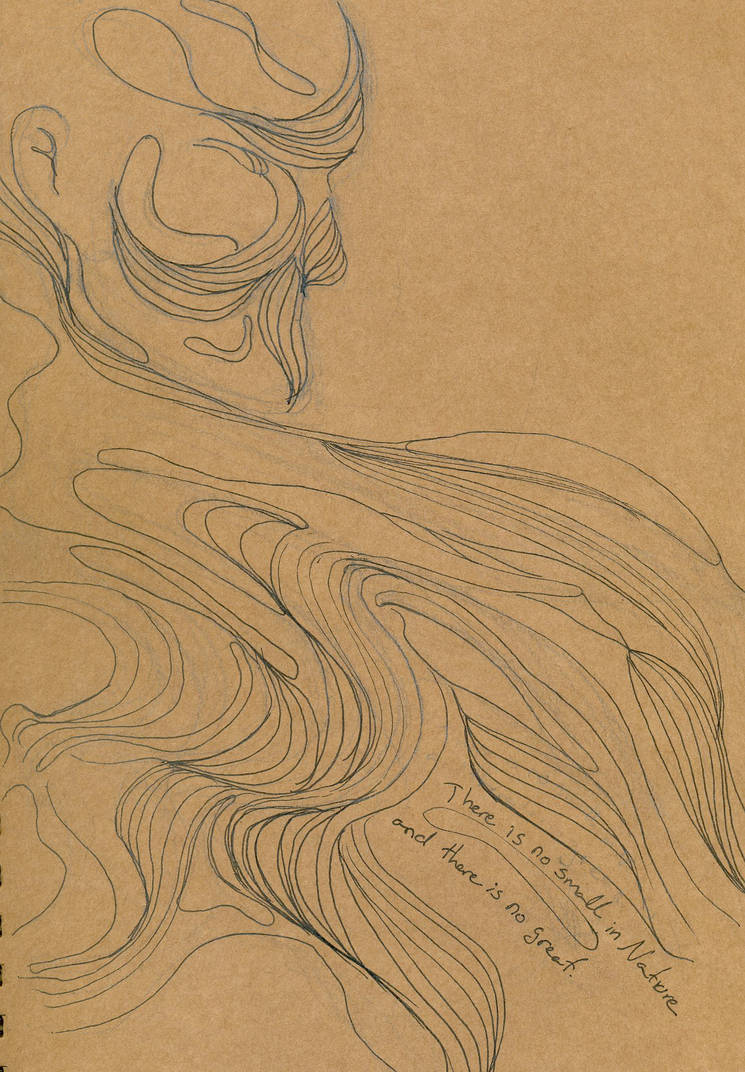The Narrative of John Smith by silaguven on DeviantArt
