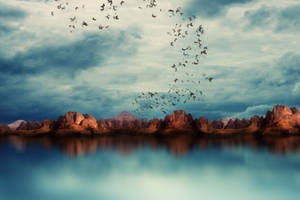 In the land of butterflies