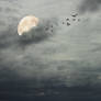 Stormy sky background