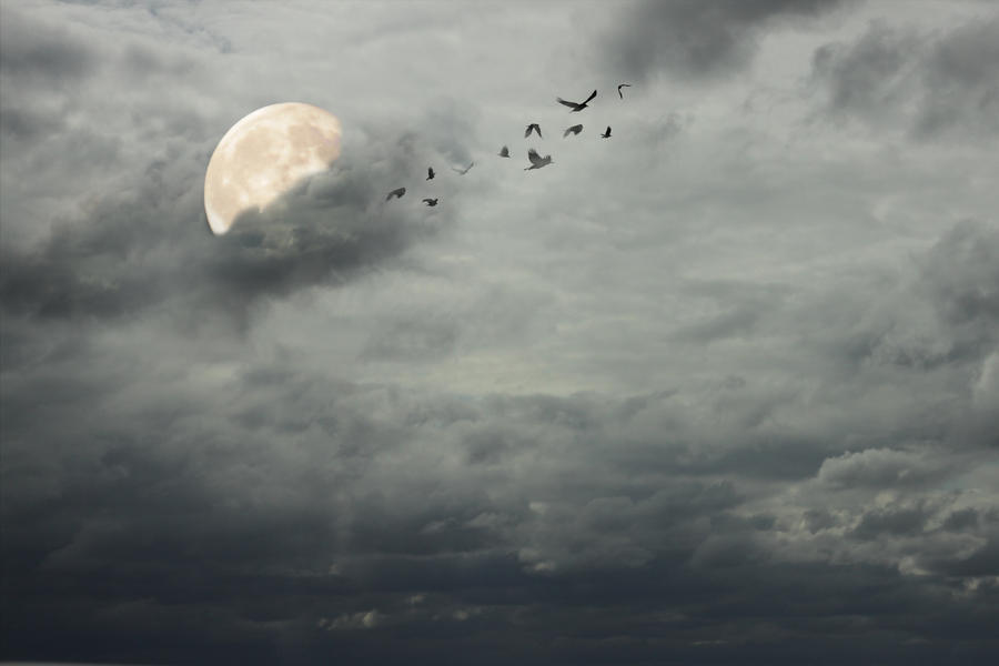 Stormy sky background by firesign24-7
