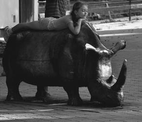 Chilling on a rhino