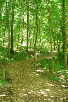 Emerald green and ground below