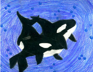 Random Orcas