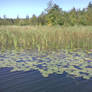 lake leelanau 2