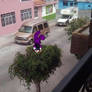 how did diwy get there?