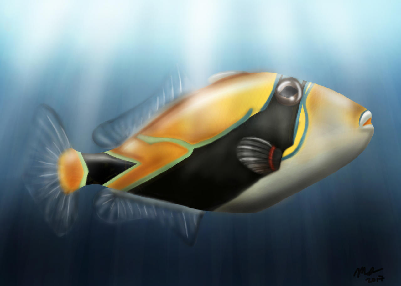 Reef Triggerfish by ArtofMattFossen on DeviantArt