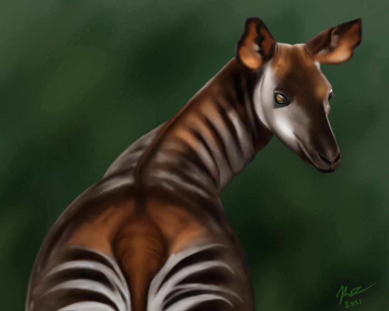 Okapi by ArtofMattFossen on DeviantArt