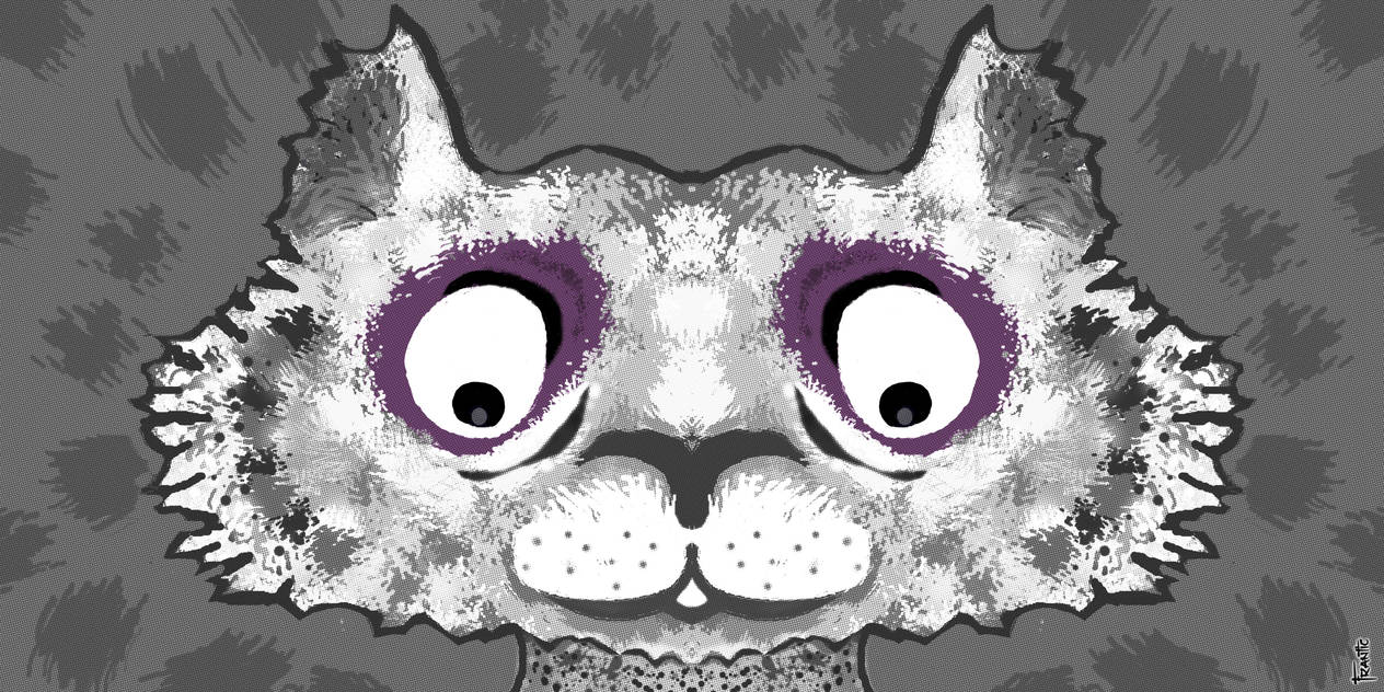 Scruffles The Cat by FranticMezmer on DeviantArt