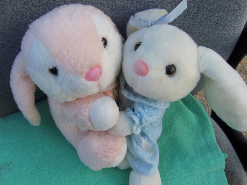 Hug A Rabbit Lenny The Bunny Hug 1 by AceLive-Project on DeviantArt