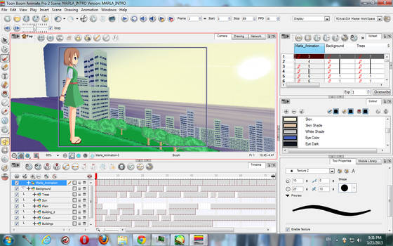 Toon Boom Animate Pro 2 (My Animation Software)