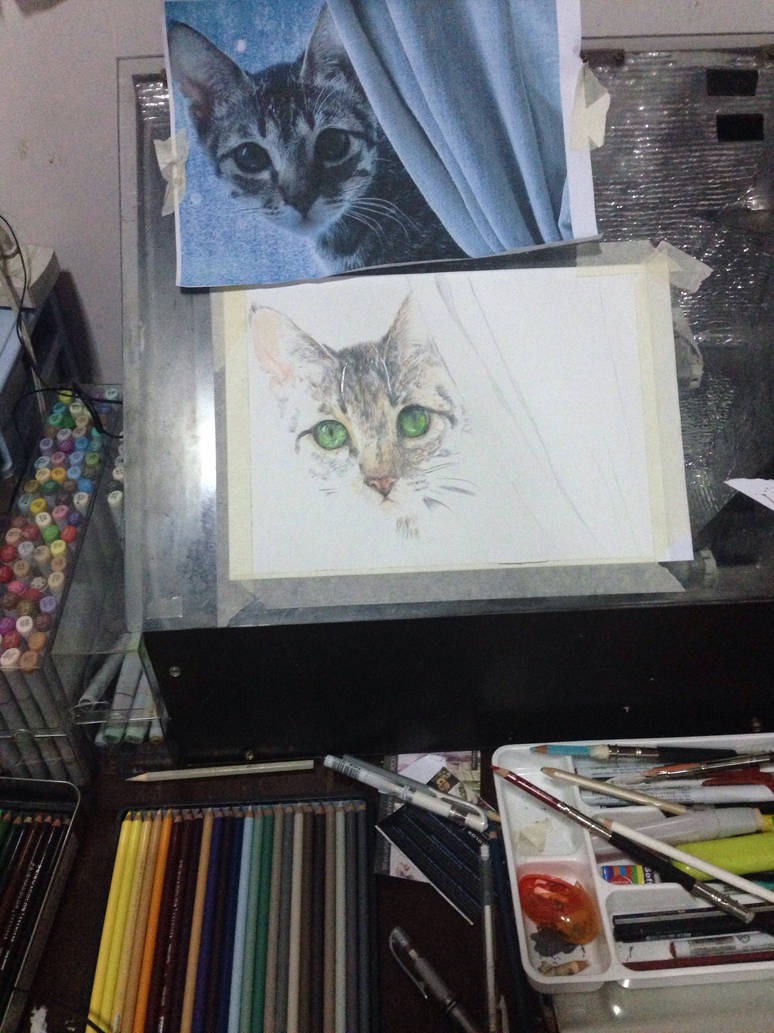 catwip by littlemissmarikit catwip by littlemissmarikit