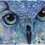 Stardust Owl