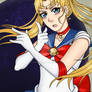 Sailor Moon + Usagi