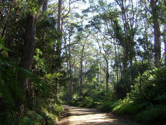 Barrington Tops