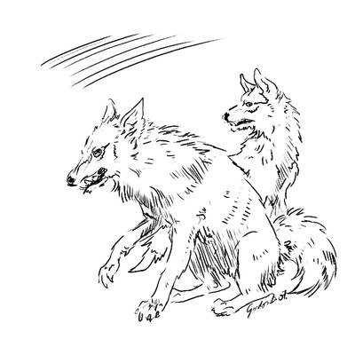 Digital sketch1 - Dogs