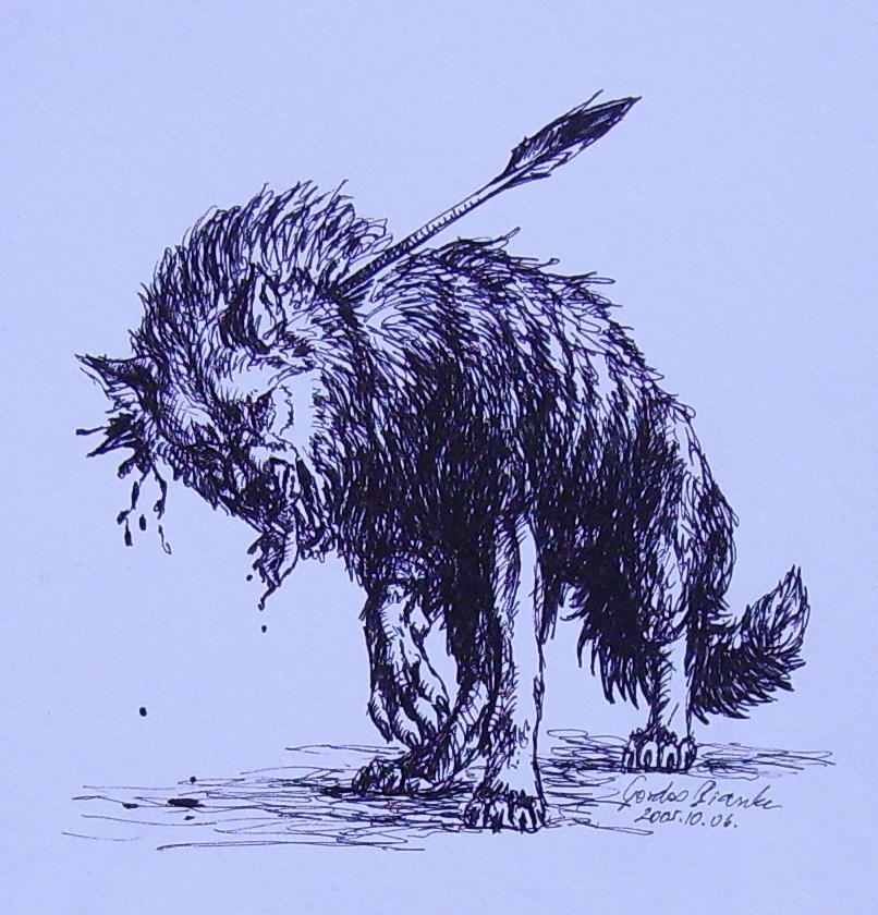 Wolf with Arrow by KitsuneBara on DeviantArt