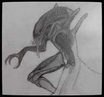 Another Alien scetch...from a while ago.