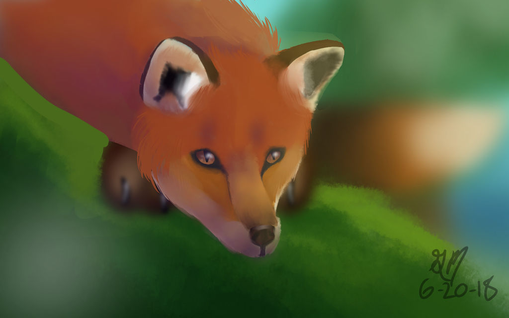 Deviantart Limber Fox Fox by SapphireFox1995 on DeviantArt